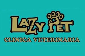 Lazy Pet - Tienda en Las Condes - Multidatos.com